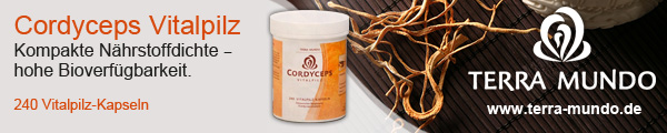 Cordyceps Vitalpilze - 240 Kapseln von Terra Mundo