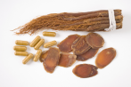 Ginseng & Co gegen Burnout und Fatigue