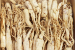 Ginseng & Co gegen Fatigue und Burnout